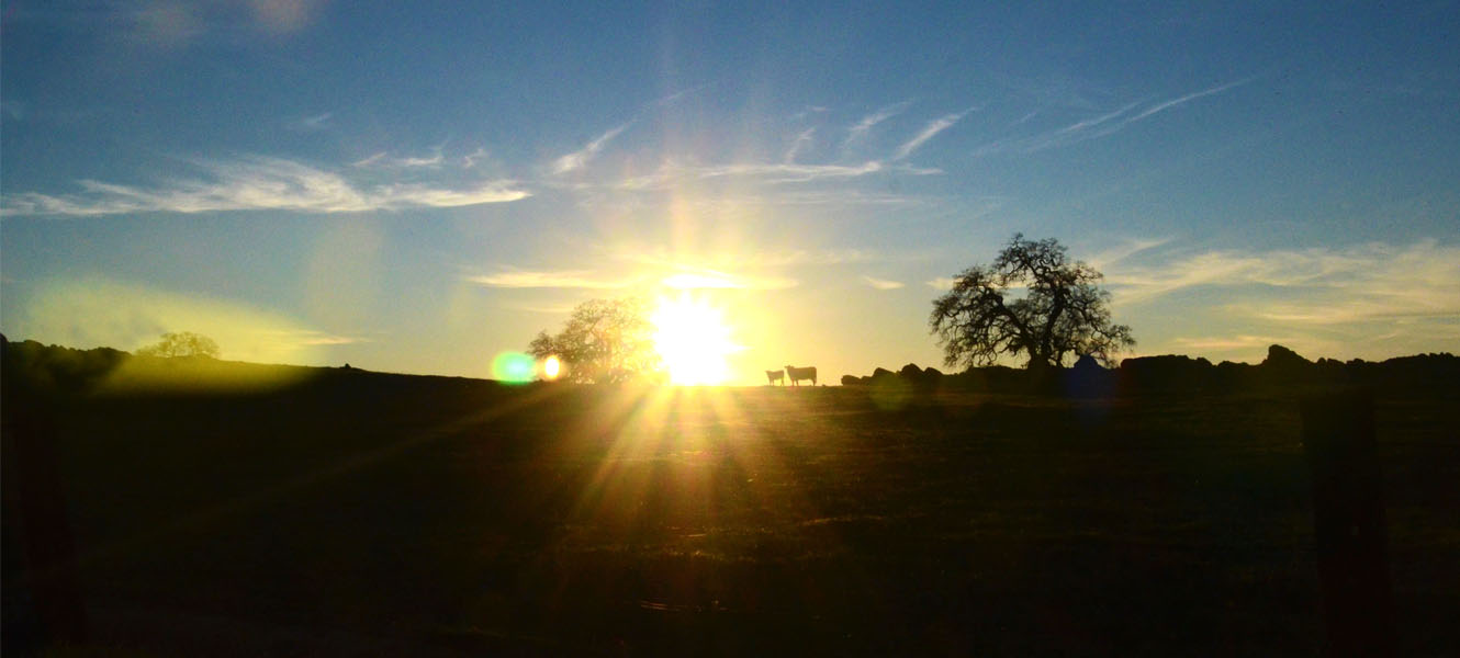 Sunset in the country